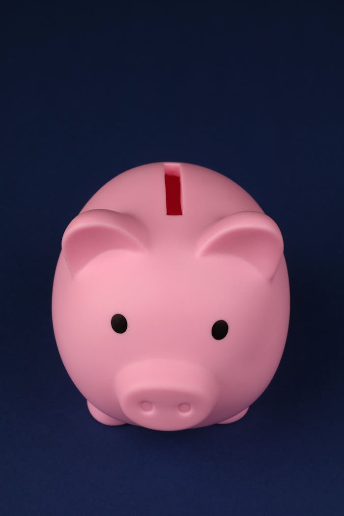 A pink piggy bank on a dark background, ideal for savings and finance themes.